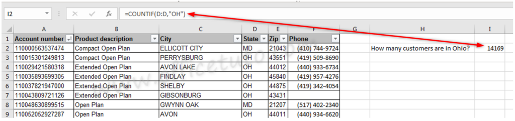 Excel COUNTIF function for text data