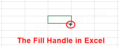 The Fill Handle of Excel
