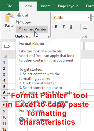 "Format Painter" tool in Excel
