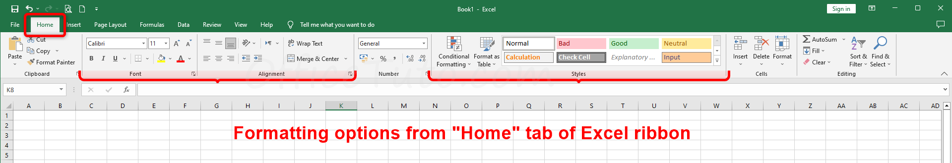 Formatting options of Excel ribbon