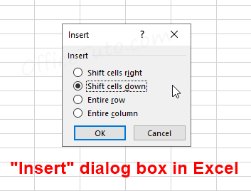 "Insert" dialog box in Excel