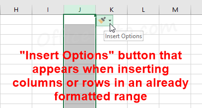 "Insert Options" button in Excel