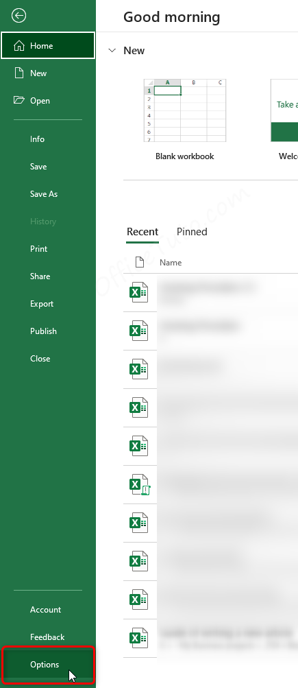 Excel options button