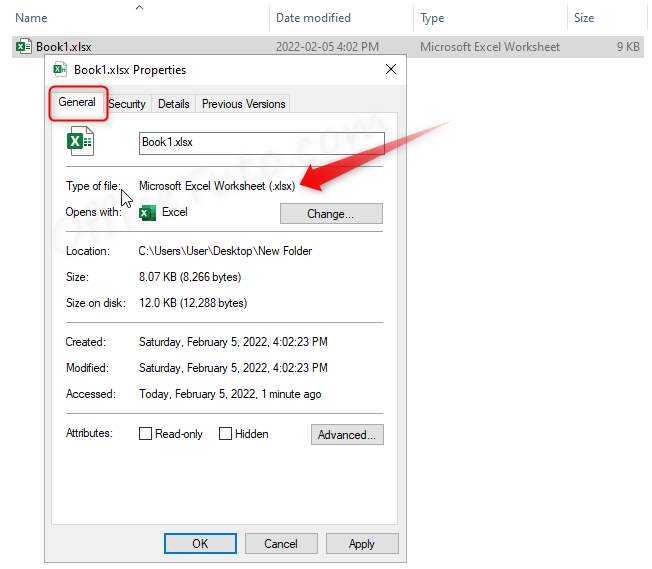 How to know type of Excel file from properties dialog box